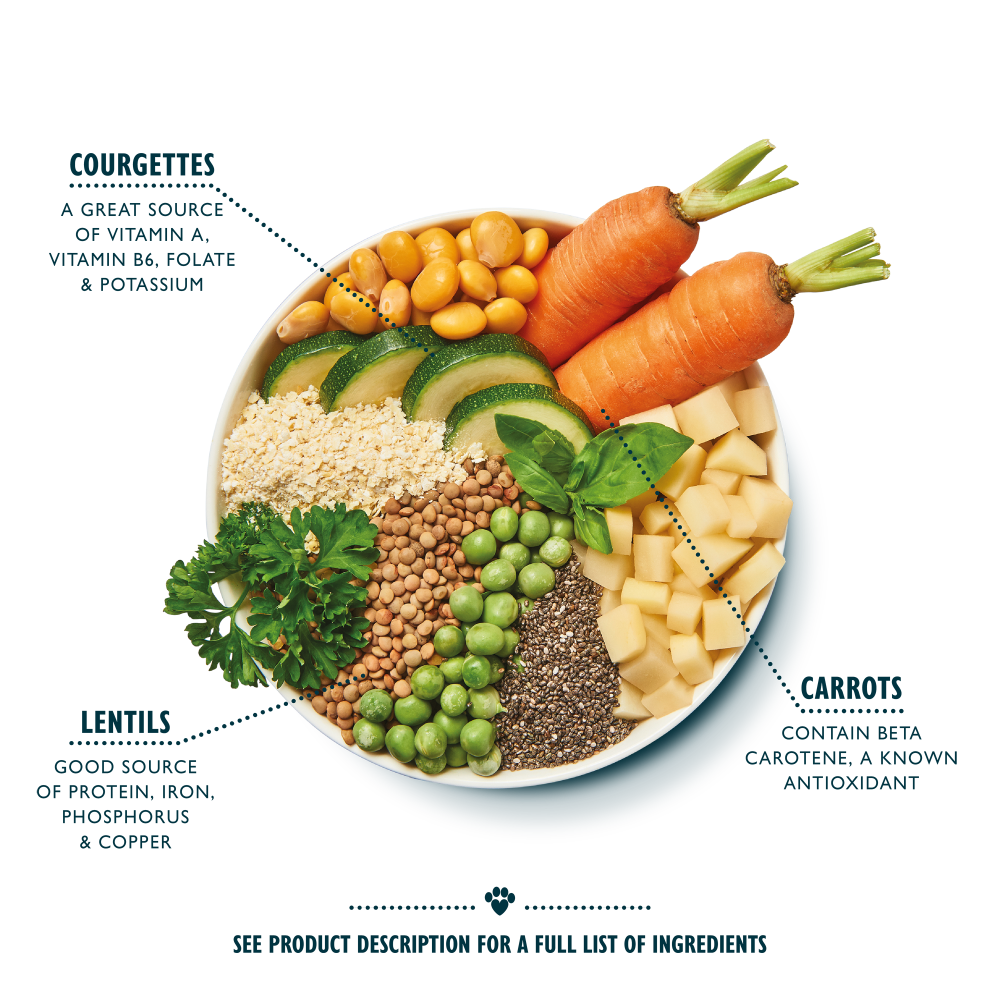 Vibrant Rainbow Stew Vegan Recipe (6 x 400g)