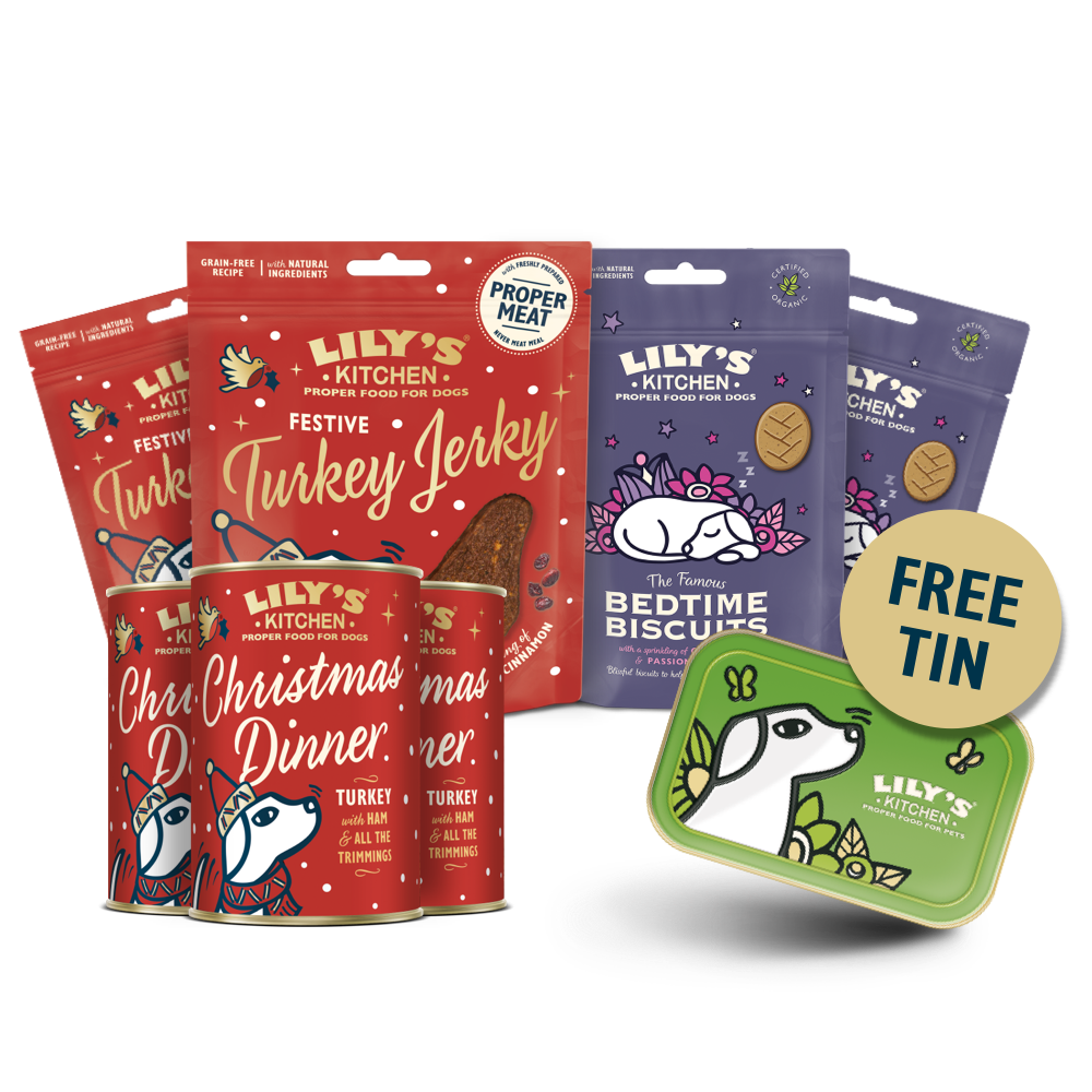 Christmas Dinner with your Dog