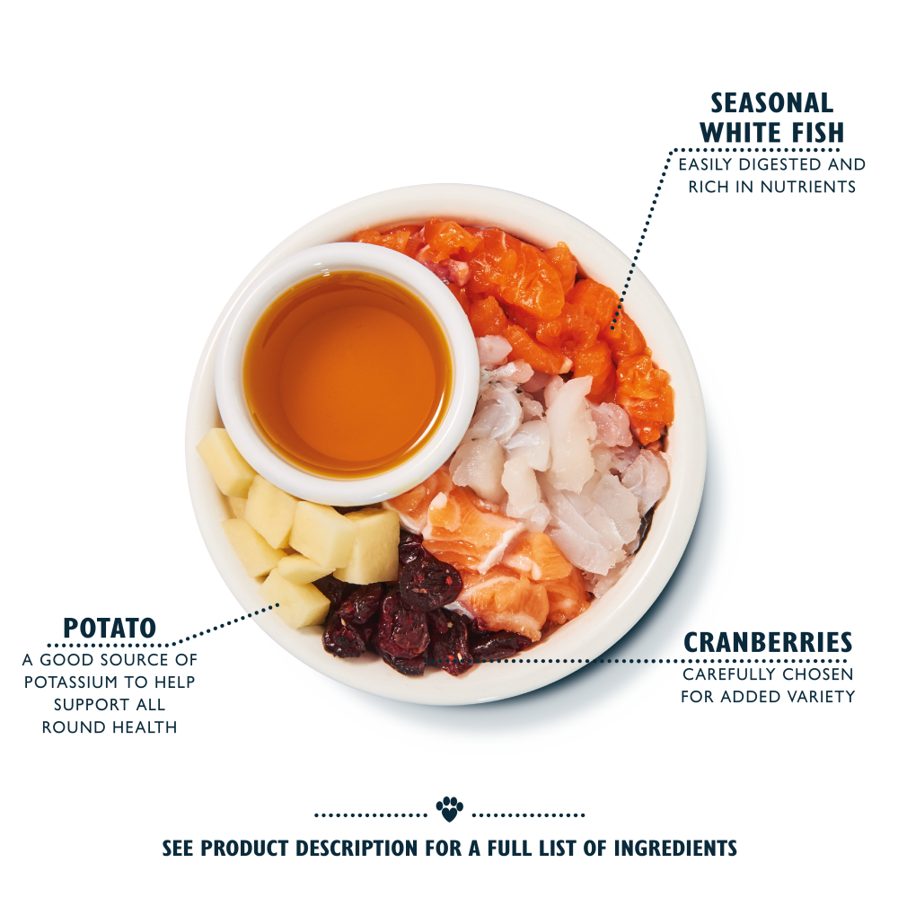 White Fish with Salmon Dry Food