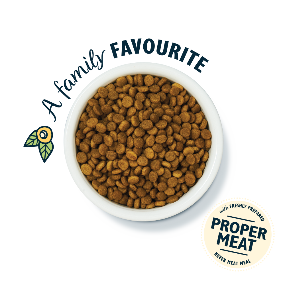 White Fish with Turkey & Trout Senior Dry Food (800g)