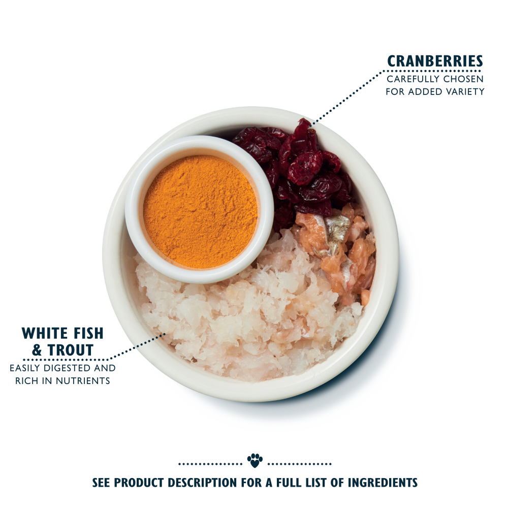 White Fish with Turkey & Trout Senior Dry Food (800g)