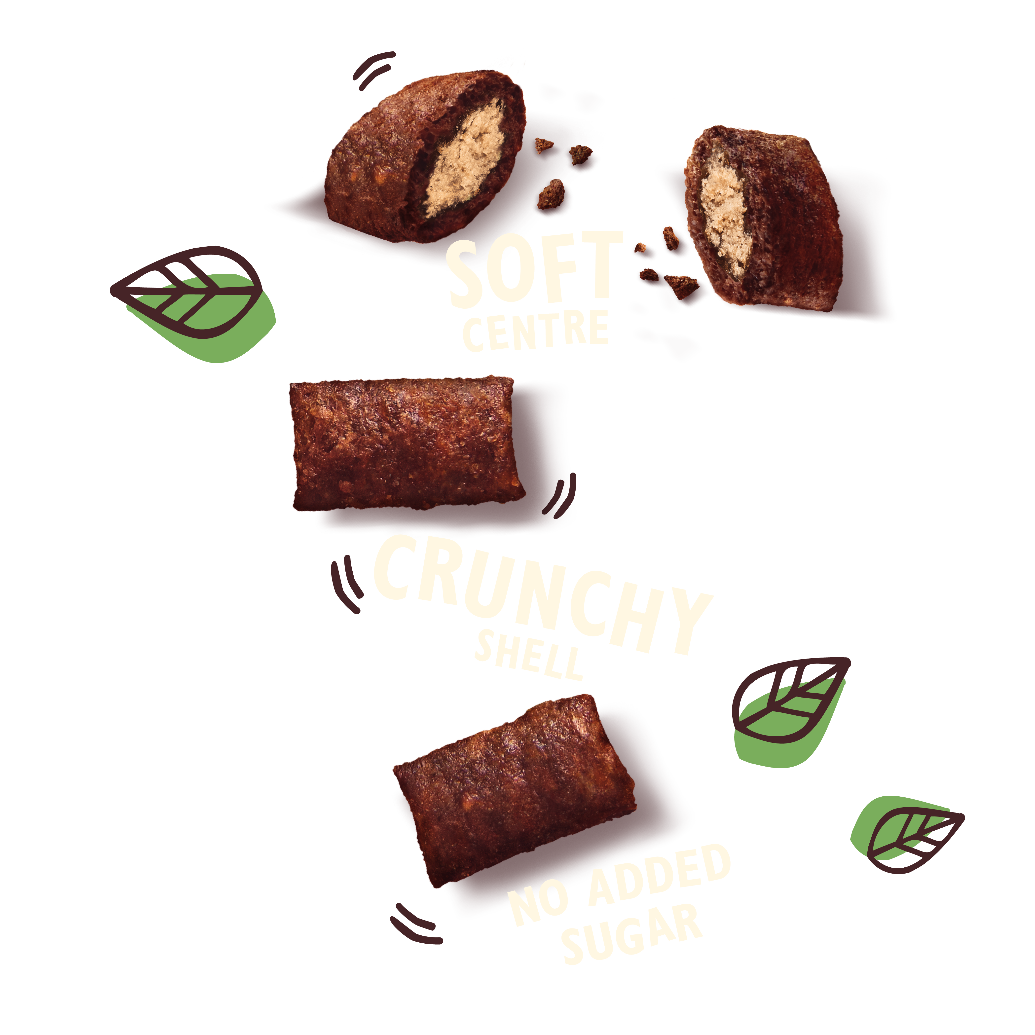 Treats with Salmon (10 x 60g)