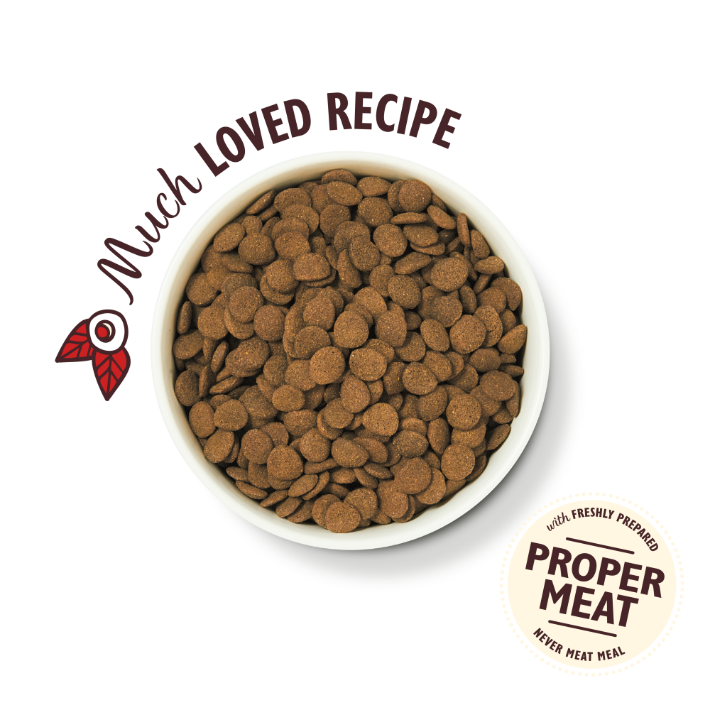 Beef Dry Food with Ancient Grains