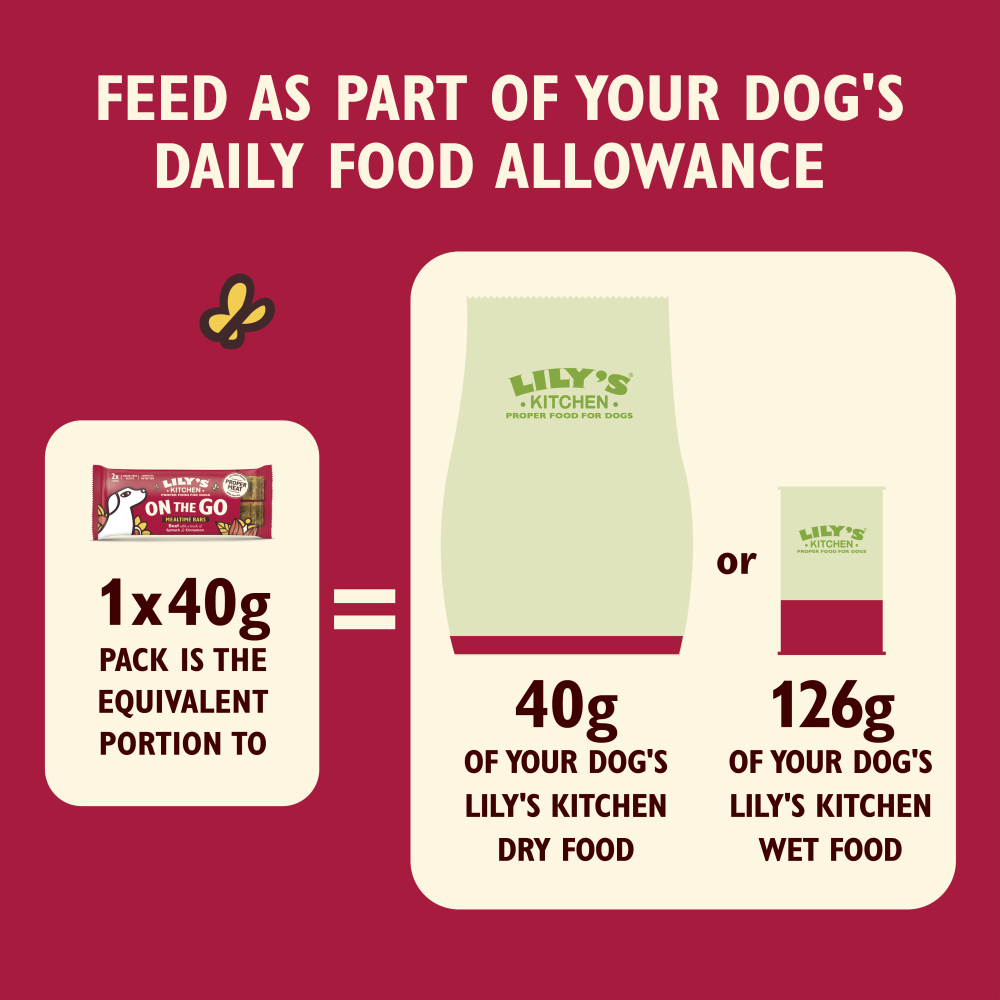 Beef On the Go Bar (40g)