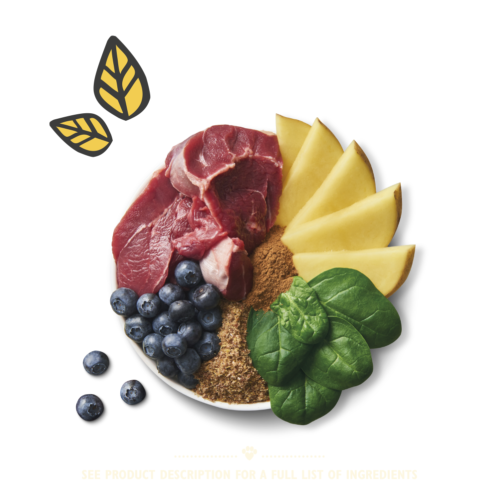 Beef On the Go Bar (40g)