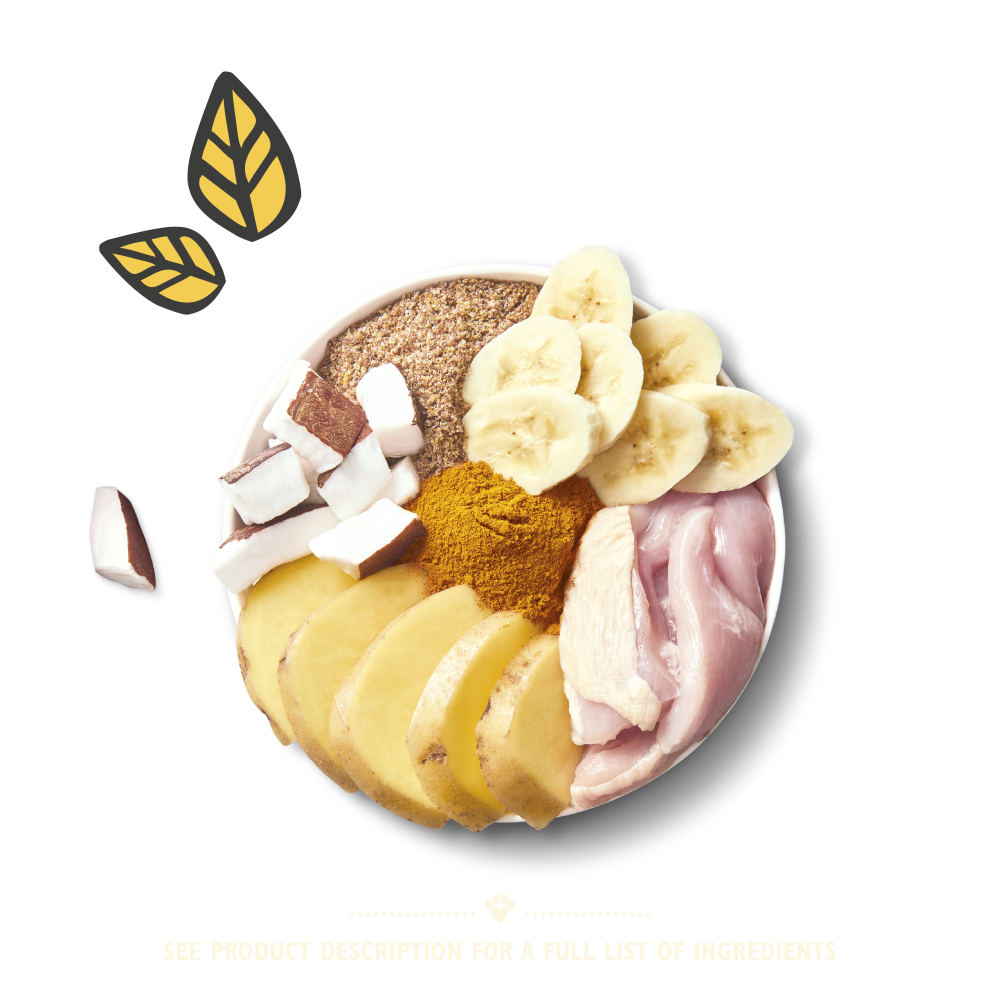 Chicken On the Go Bar (40g)