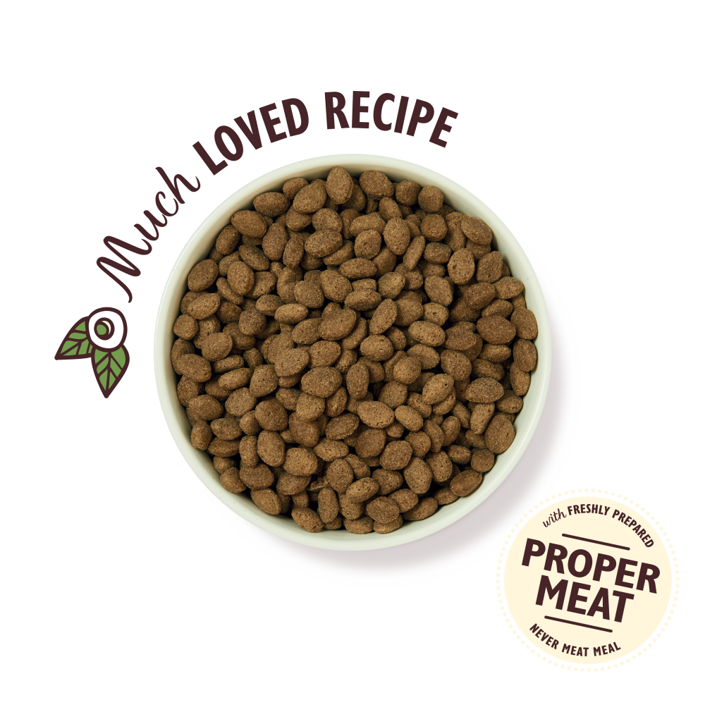 Lamb Dry Food