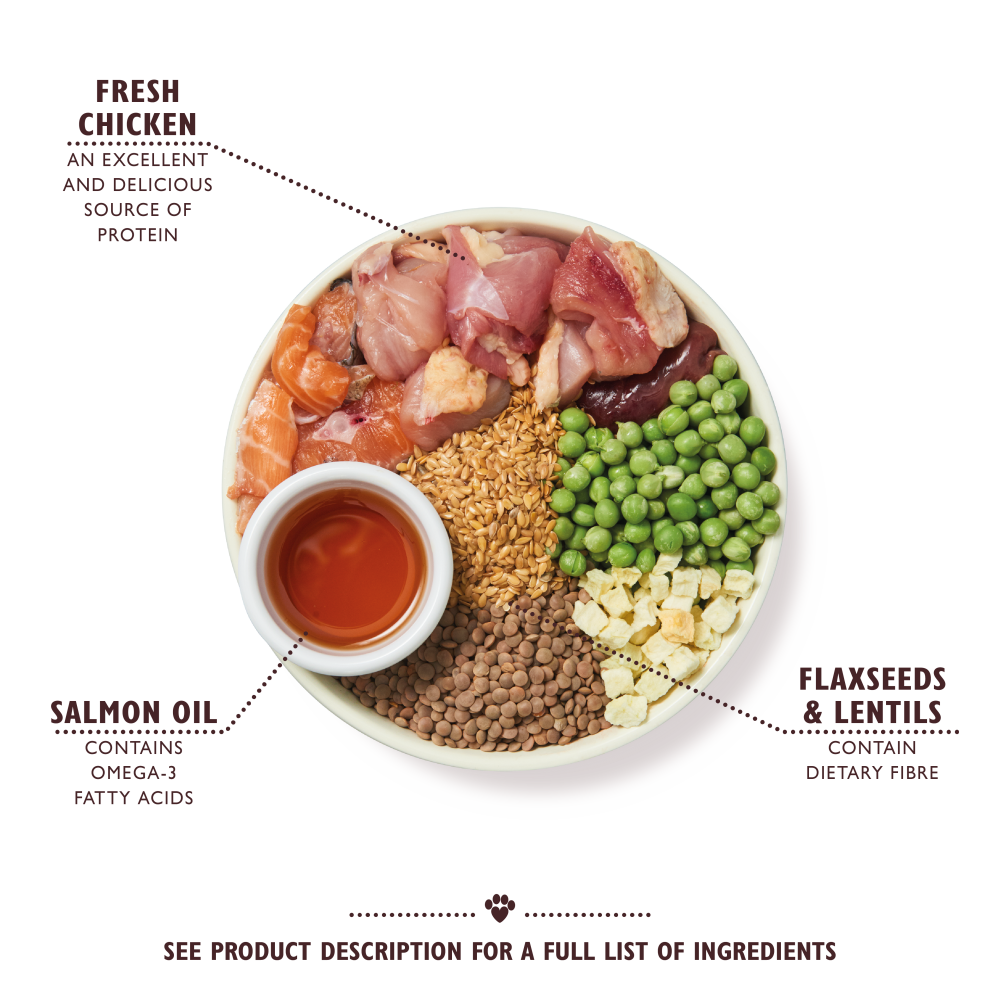 Chicken & Salmon Dry Food for Puppies