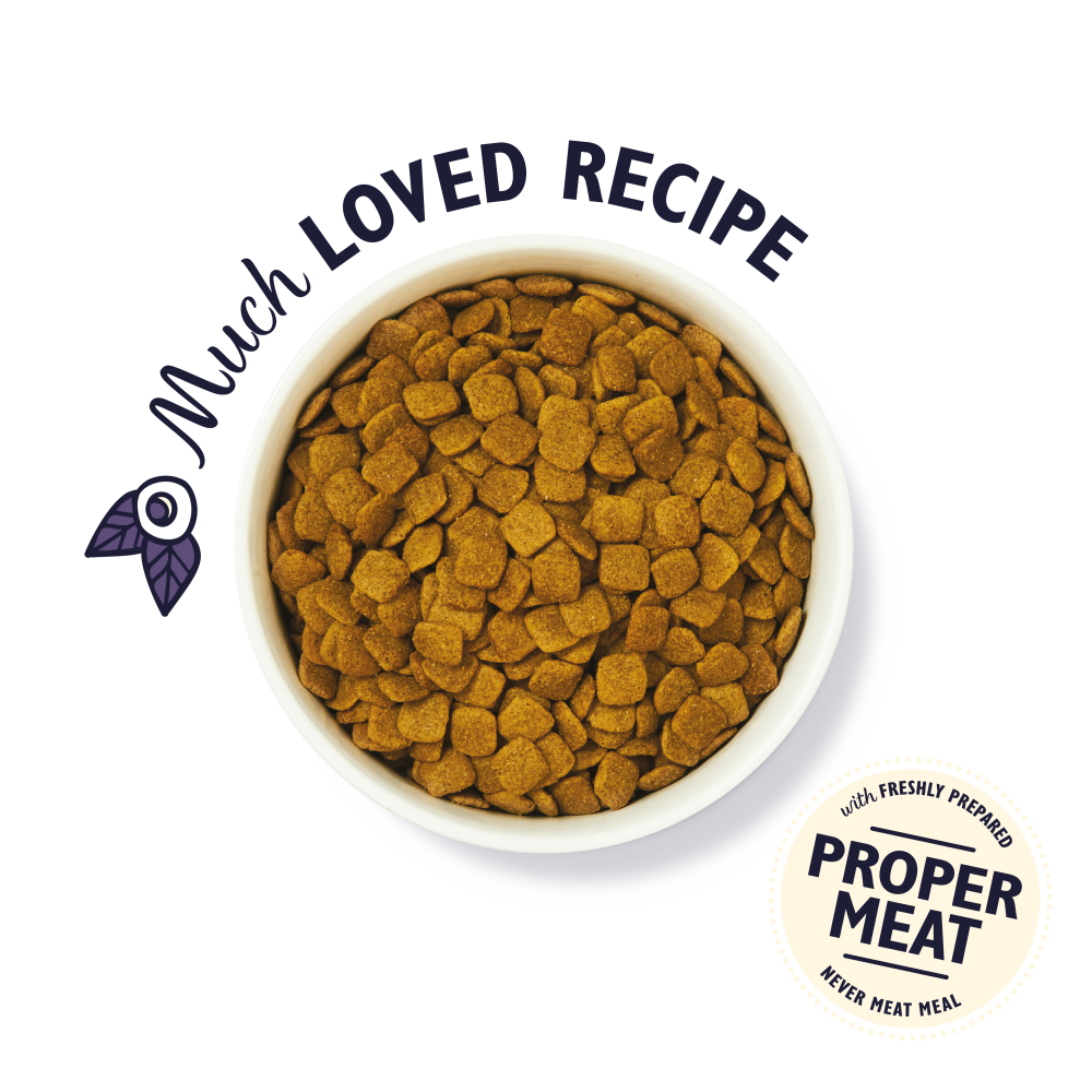 Turkey & Trout Dry Food for Senior Dogs