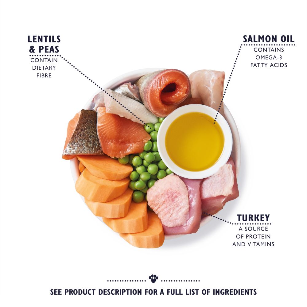 Turkey & Trout Dry Food for Senior Dogs
