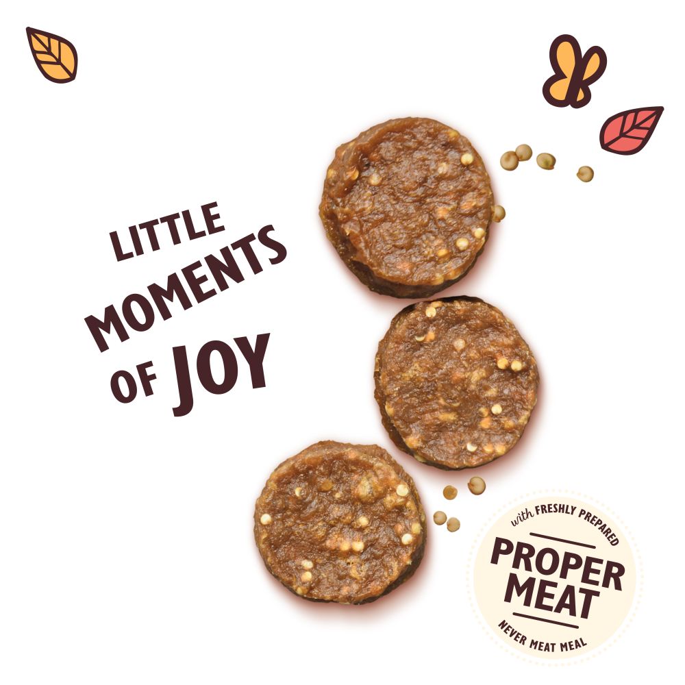 Chomp-Away Chicken Bites (70g)