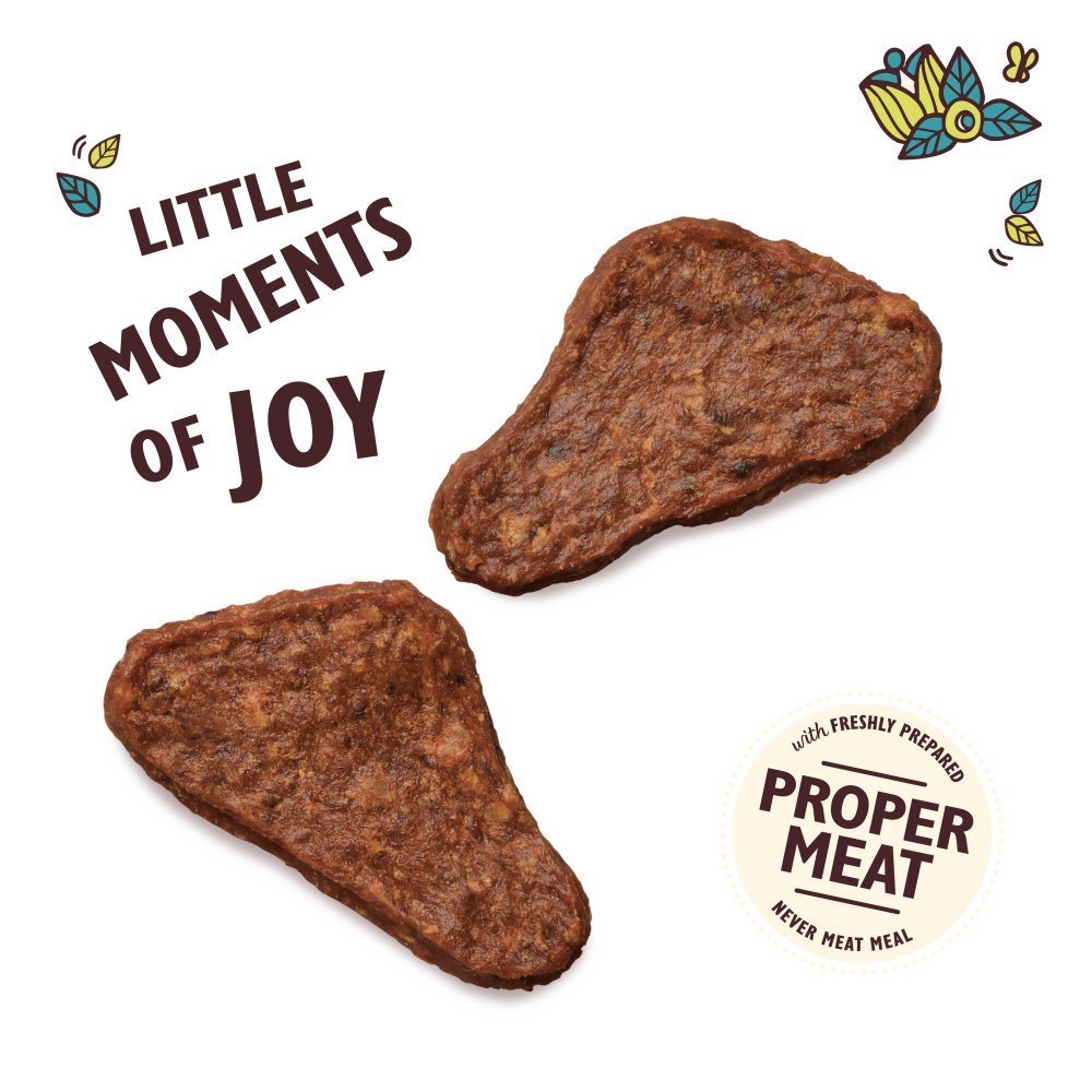 The Mighty Duck Mini Jerky (70g)