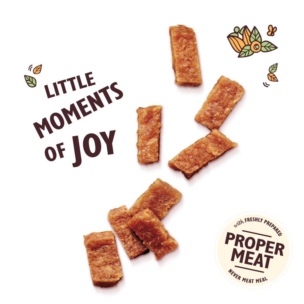 Chicken Nibbles with Salmon Puppy Treats (70g)