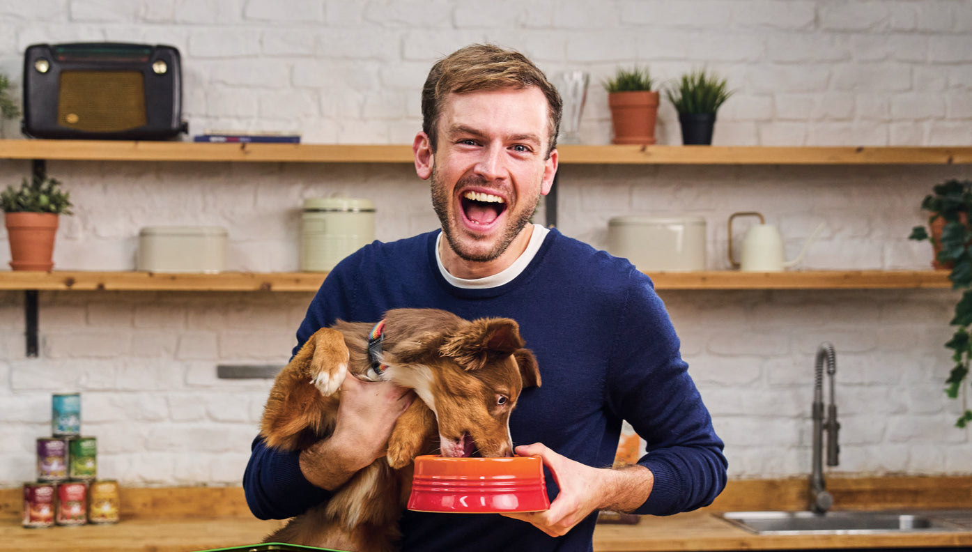 Can dogs eat cheese?