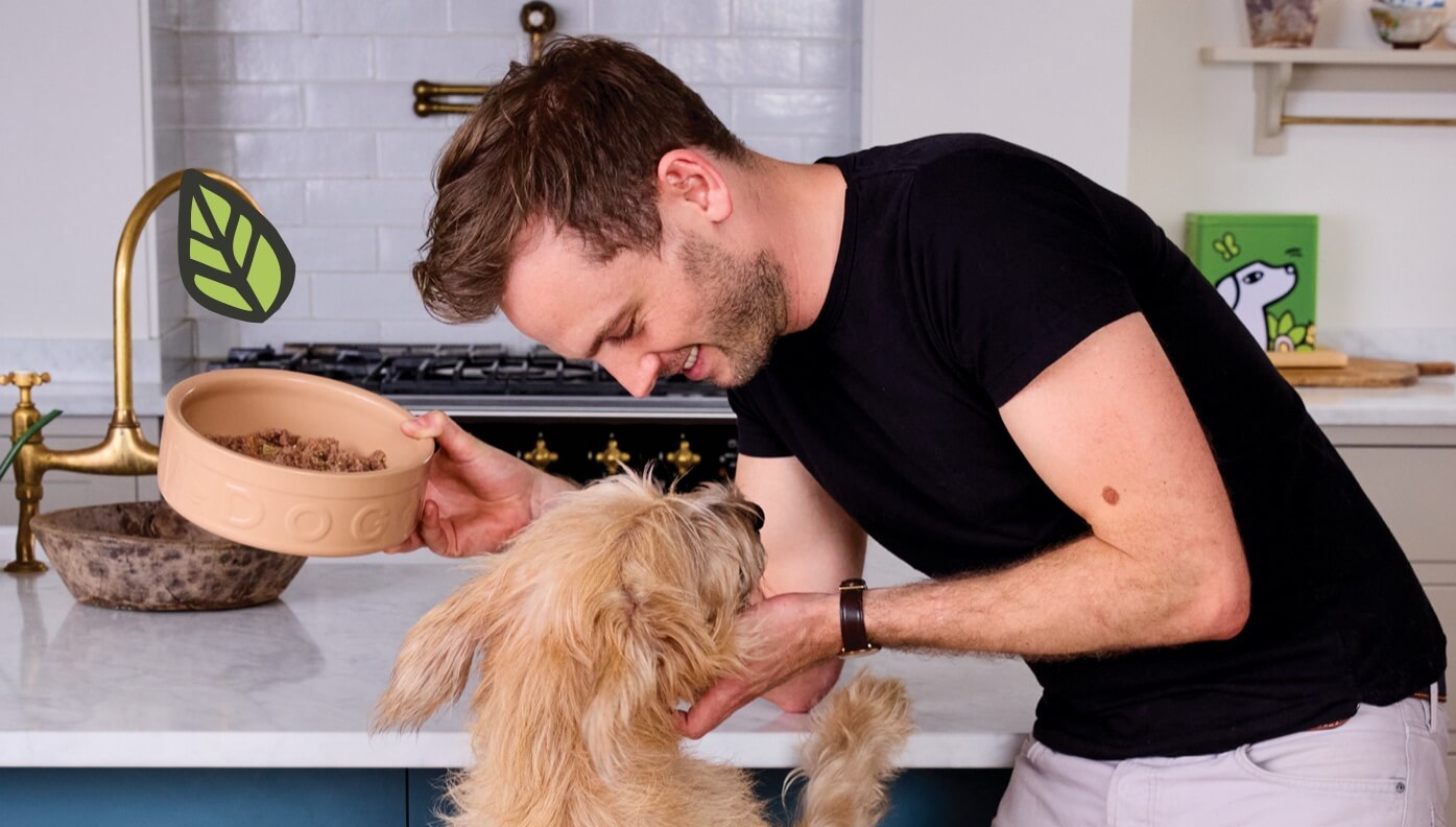 "can dogs eat cat food" next to image of rory the vet feeding a small dog