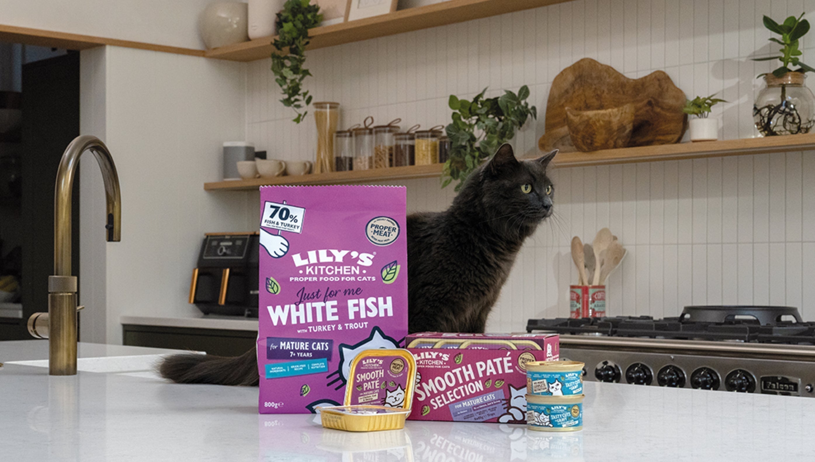 Feeding your senior cat