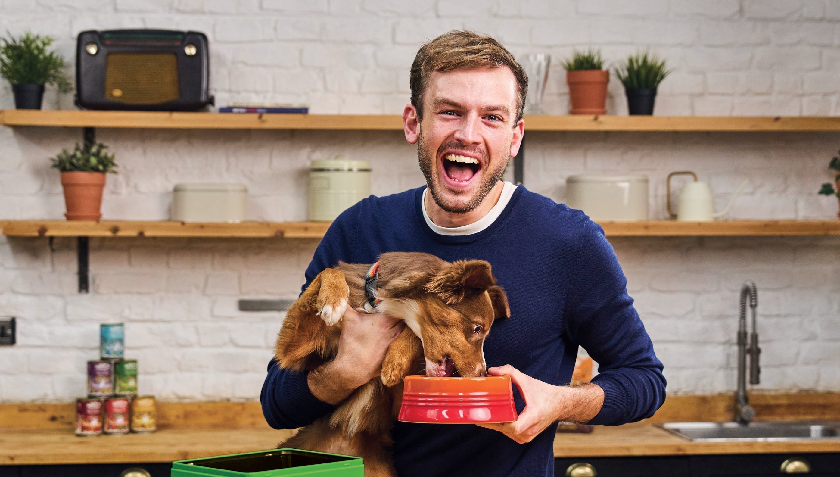 Can dogs eat swede?