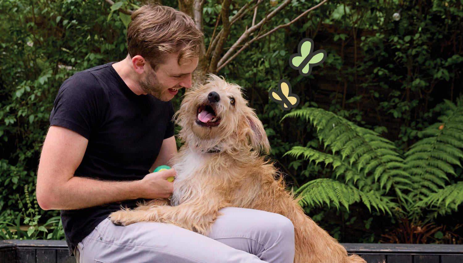 Kennel cough in dogs: causes and treatments