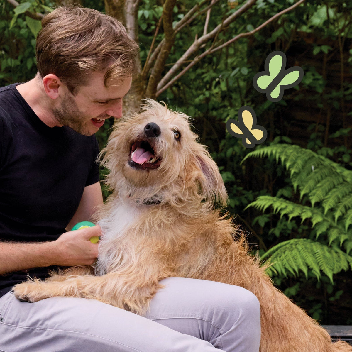 What to Do If My Dog Has Kennel Cough: Expert Care Tips