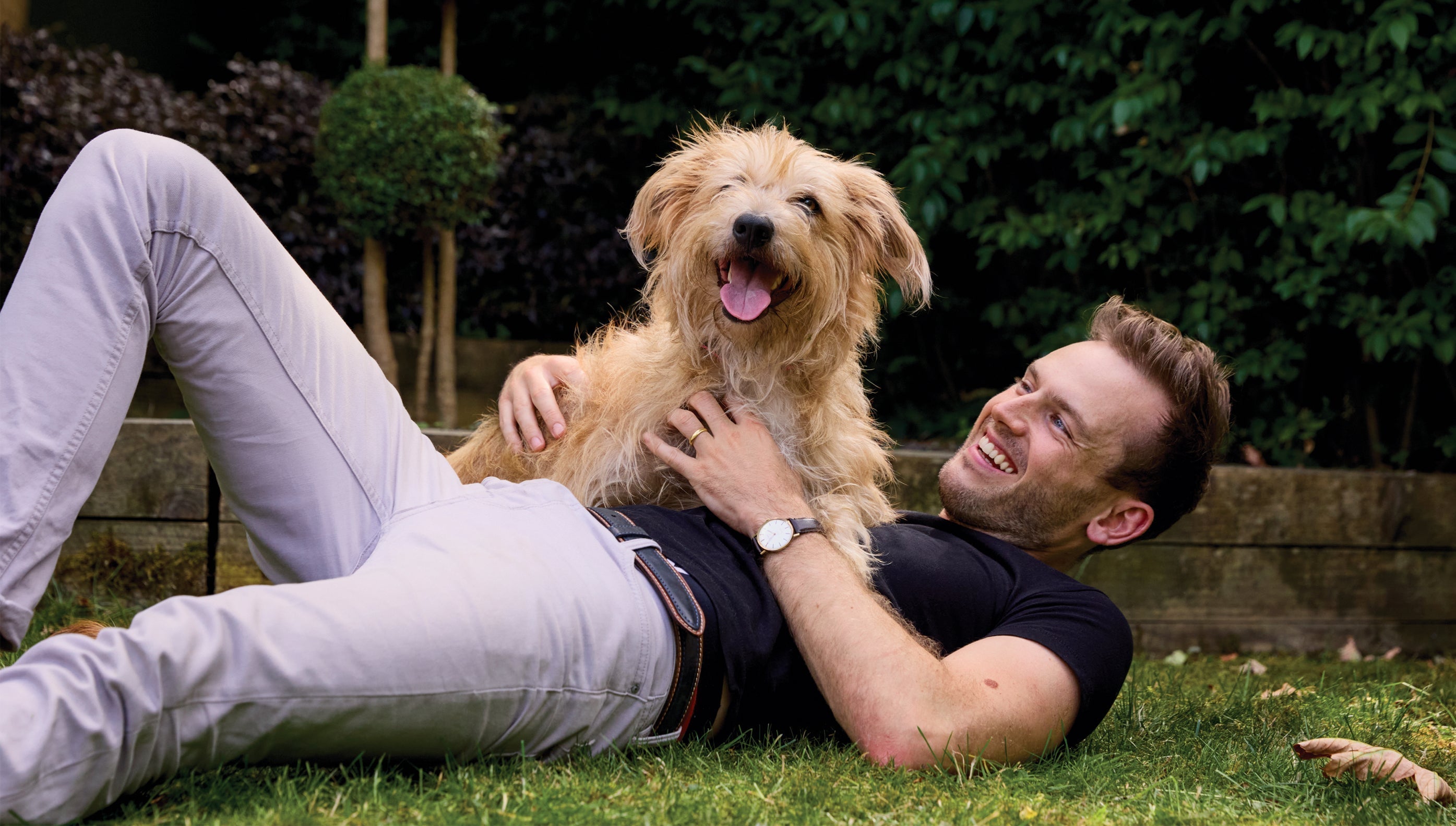 How often should you take your dog to the vet