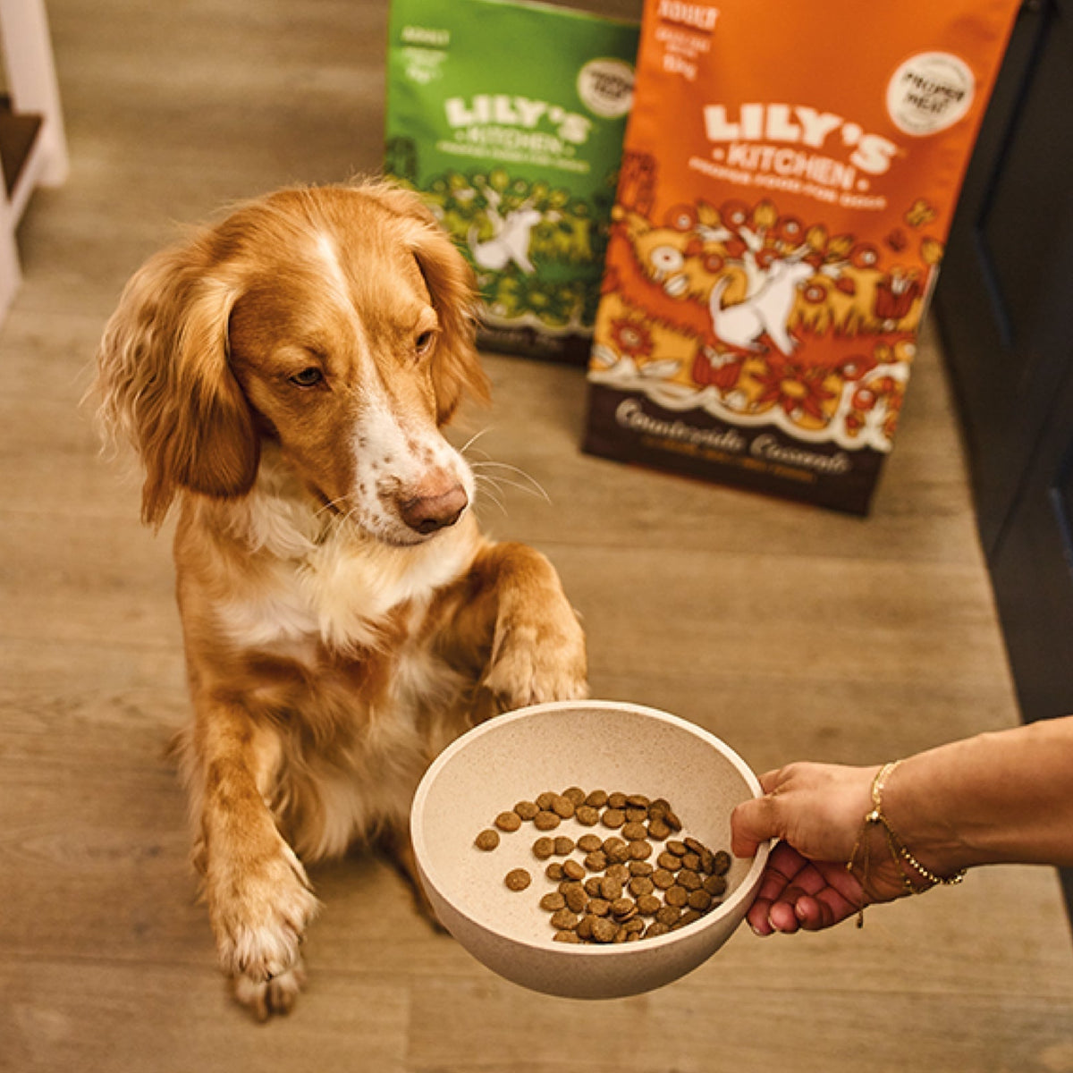 Do Dogs Need Grain in Their Diet: Essential Insights