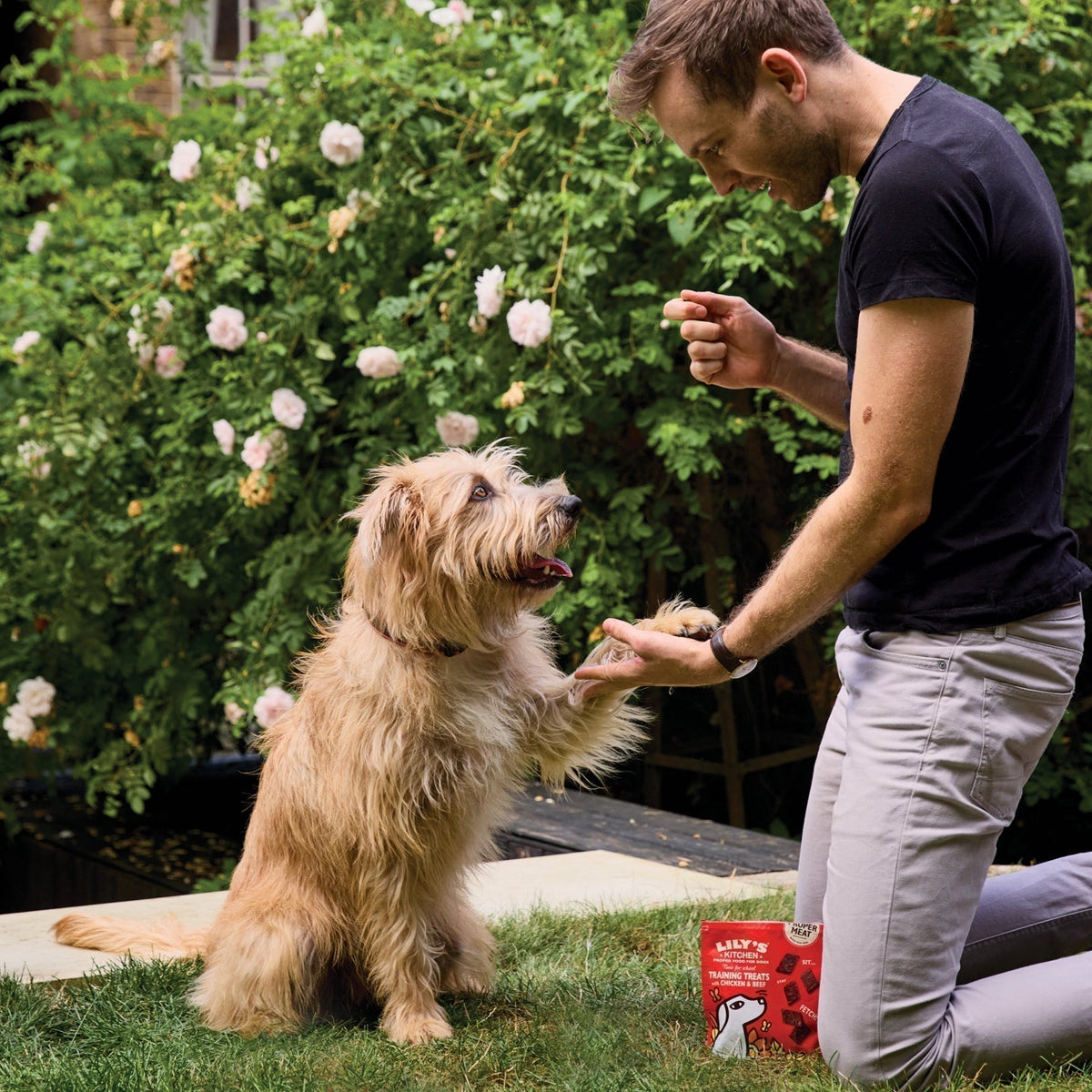 How to Train Your Dog to Obey: Unlocking Instant Obedience with Positive Reinforcement Techniques