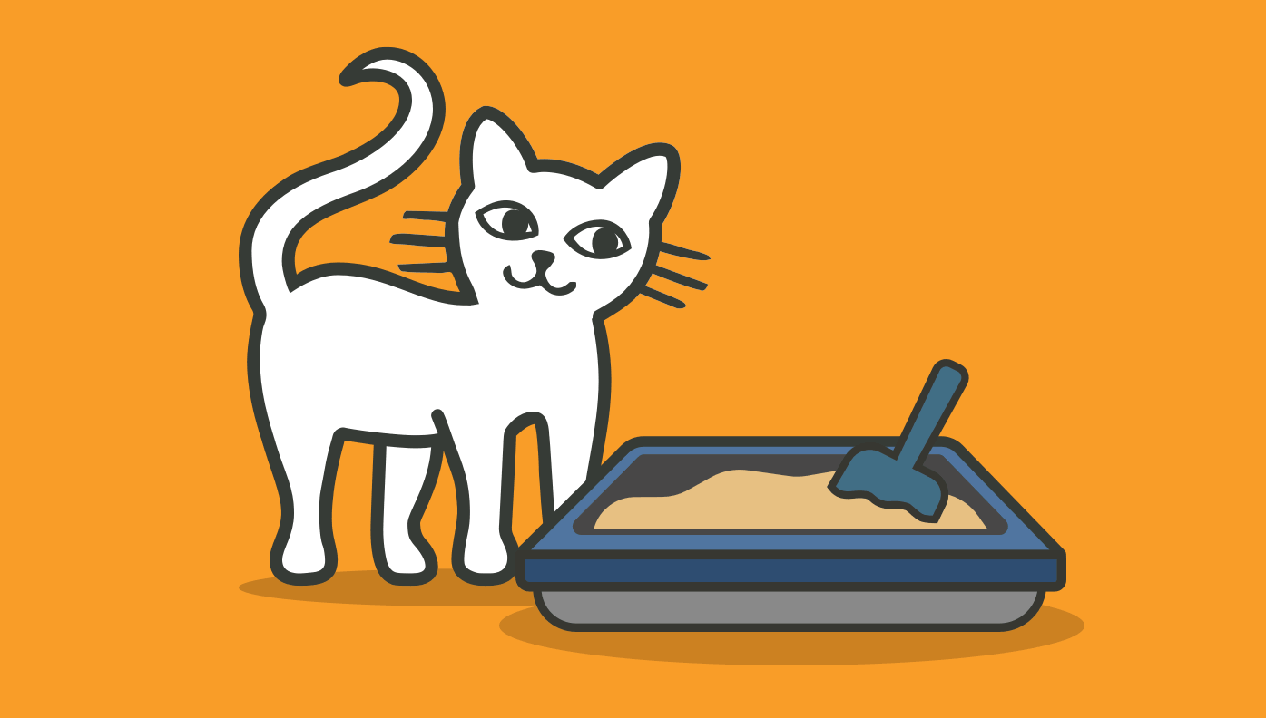 How to litter train a kitten