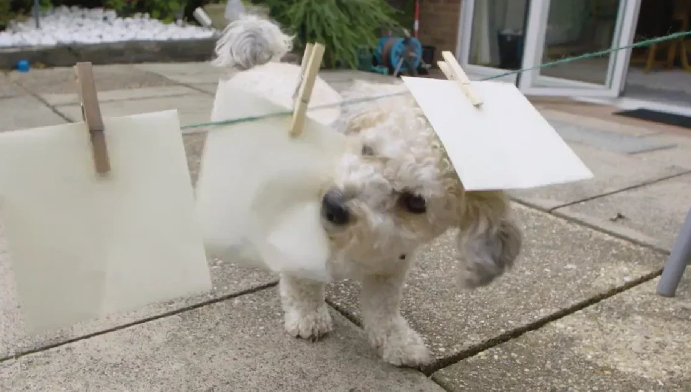 You've Got Mail