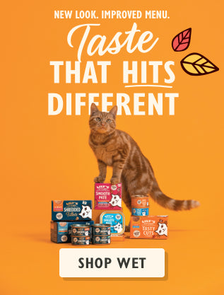 Cat Wet Relaunch