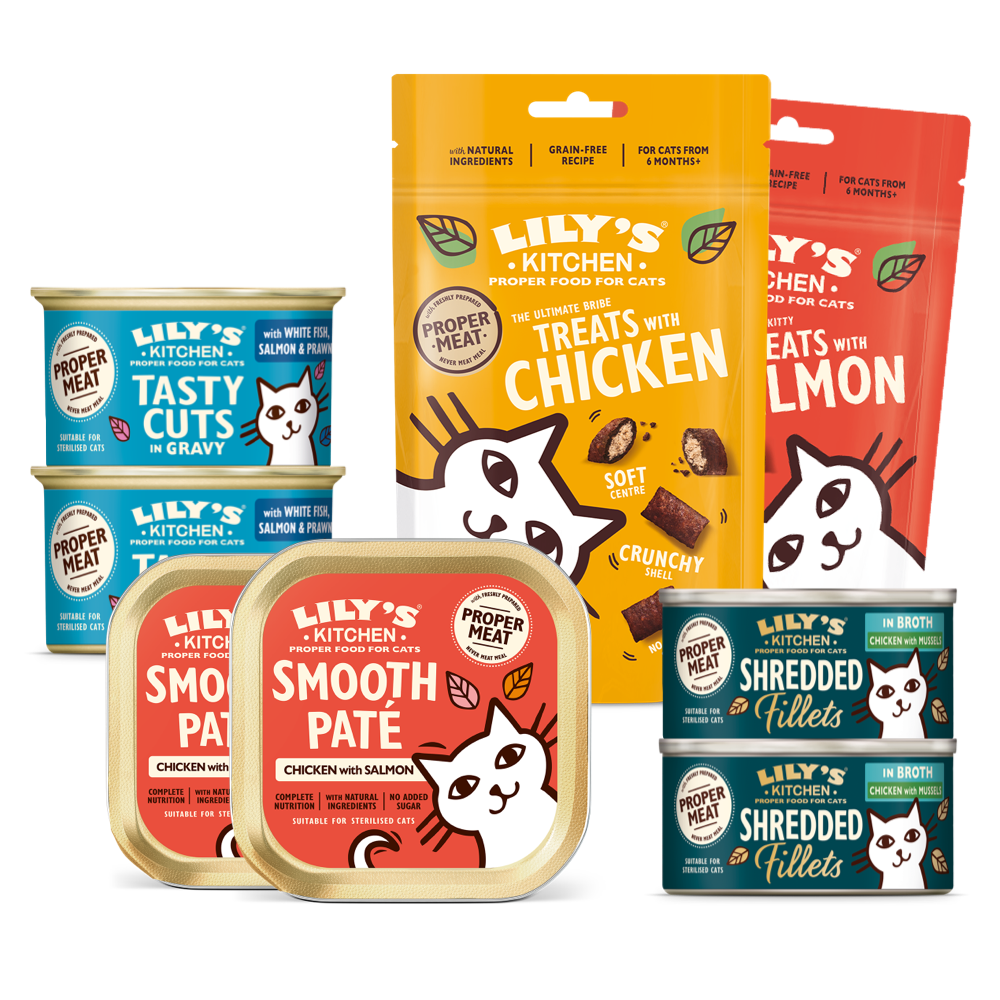 Dinner Dance Party Pack for Cats