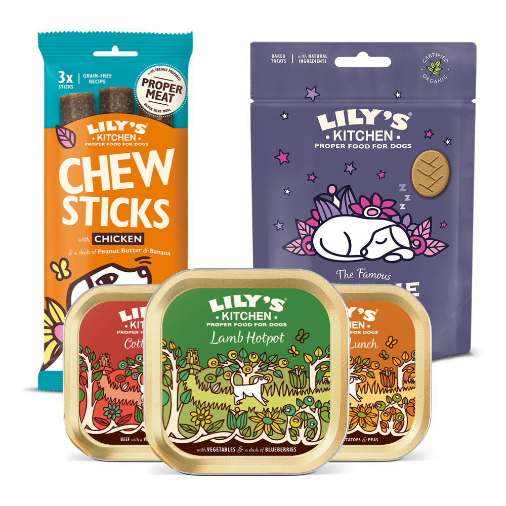Dinner Dance Party Pack for Dogs