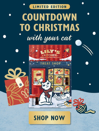 Cat Advent calendar banner