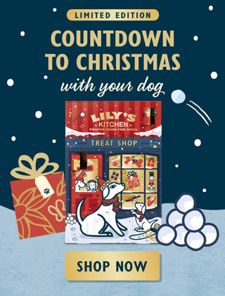 Dog Advent calendar banner