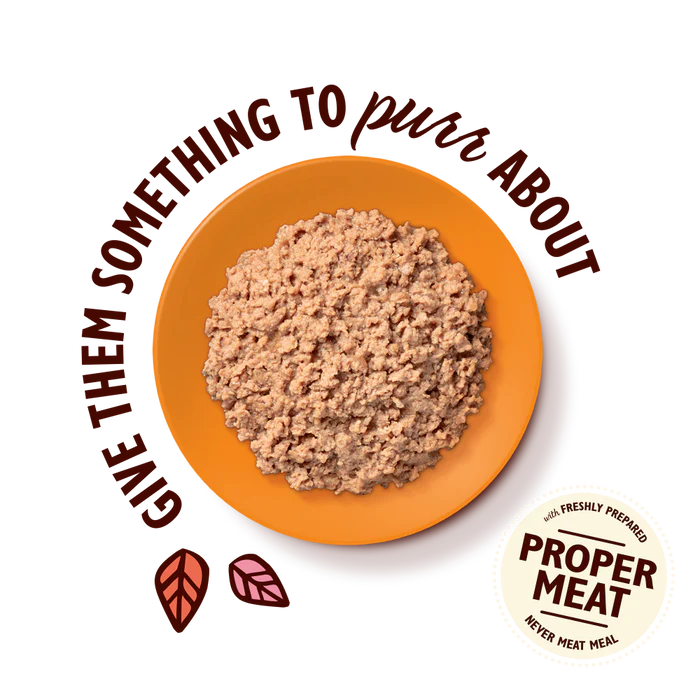 Texture Taster Treat Bundle