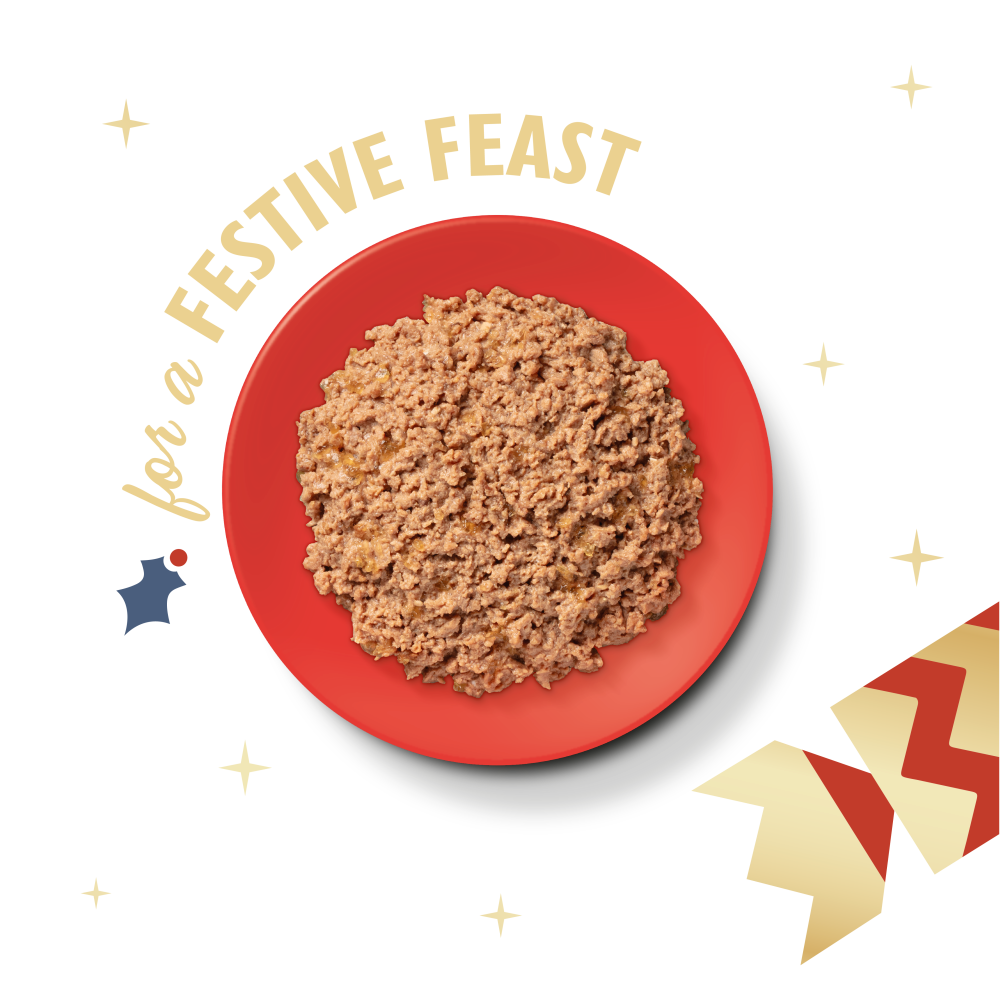 Festive Turkey with Salmon Paté (19 x 85g)