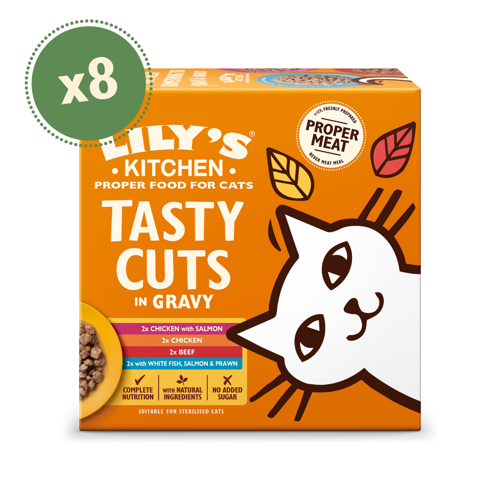 Tasty Cuts Gravy Multipack