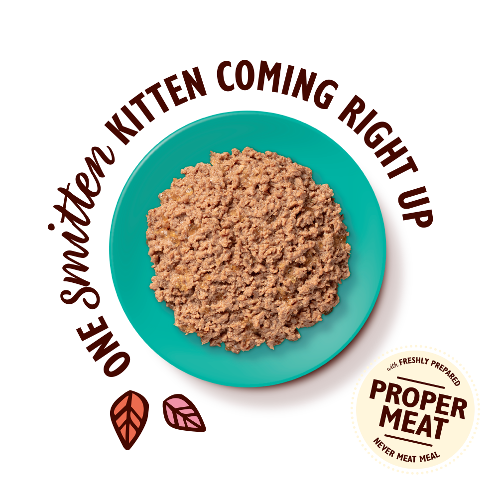 Chicken with Cod Paté for Kittens (85g)