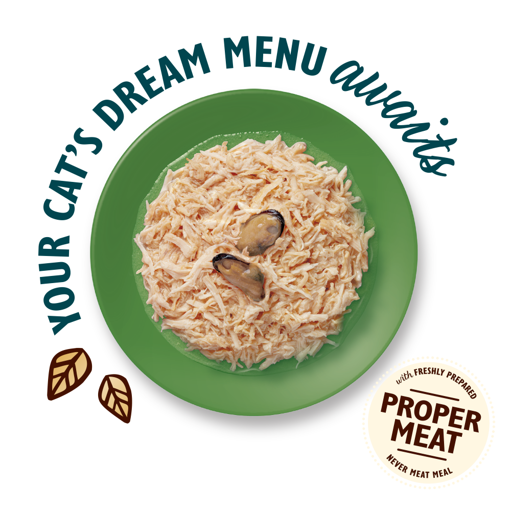 Shredded Fillets in Broth Multipack for Adult Cats (8 x 70g