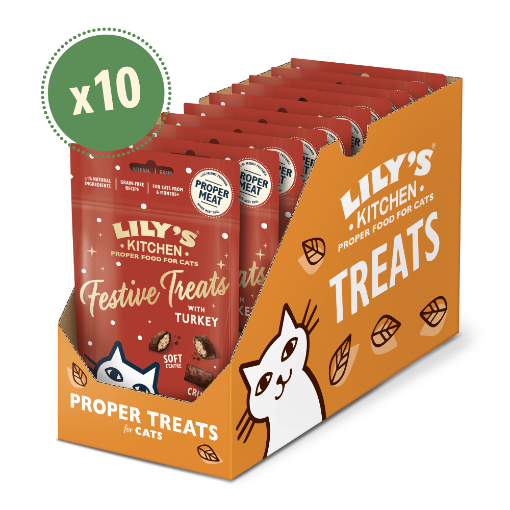 Festive Treats with Turkey (10 x 60g)