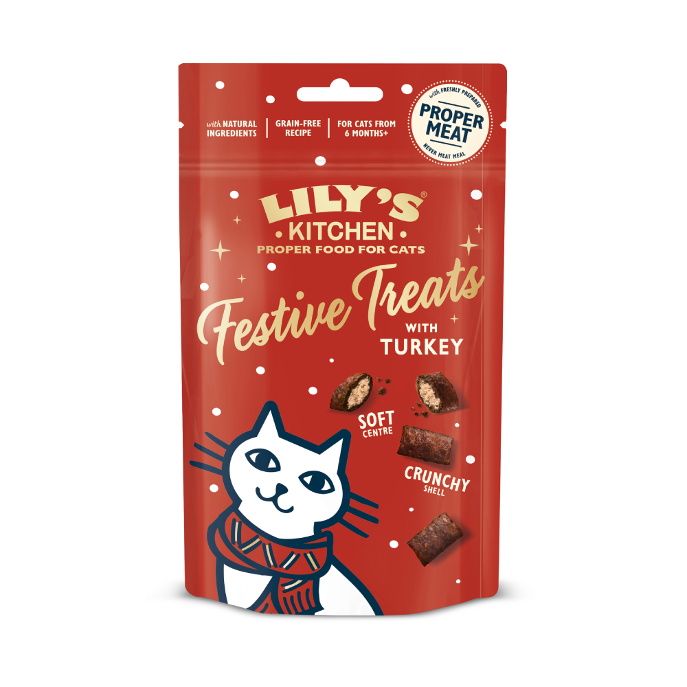 Festive Treats with Turkey (60g)