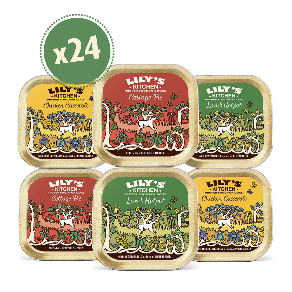 Classic Multipack (24 x 150g)