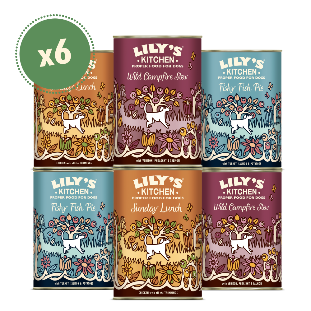 Grain Free Recipes Multipack (6 x 400g)