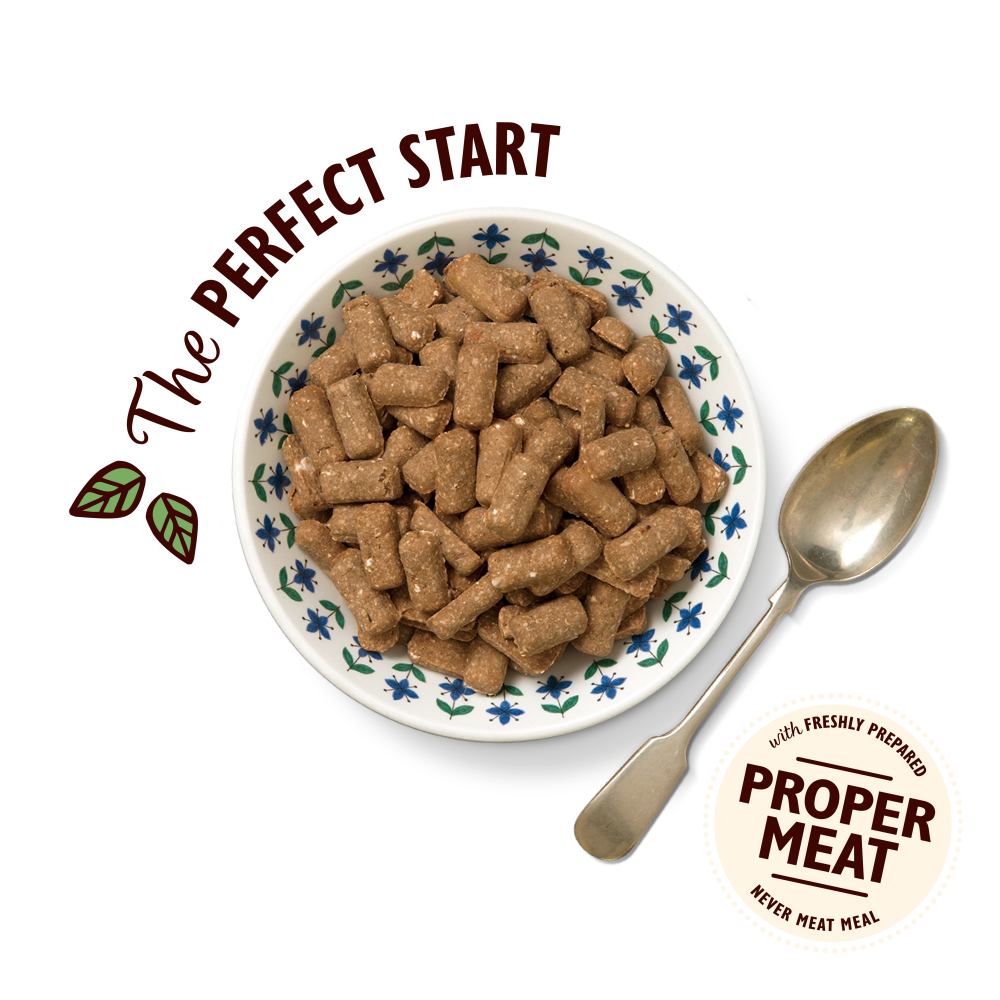 Breakfast Crunch (800g)