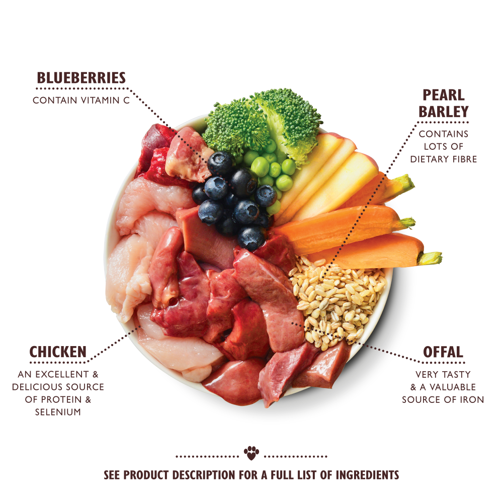 Chicken & Turkey Casserole (400g)