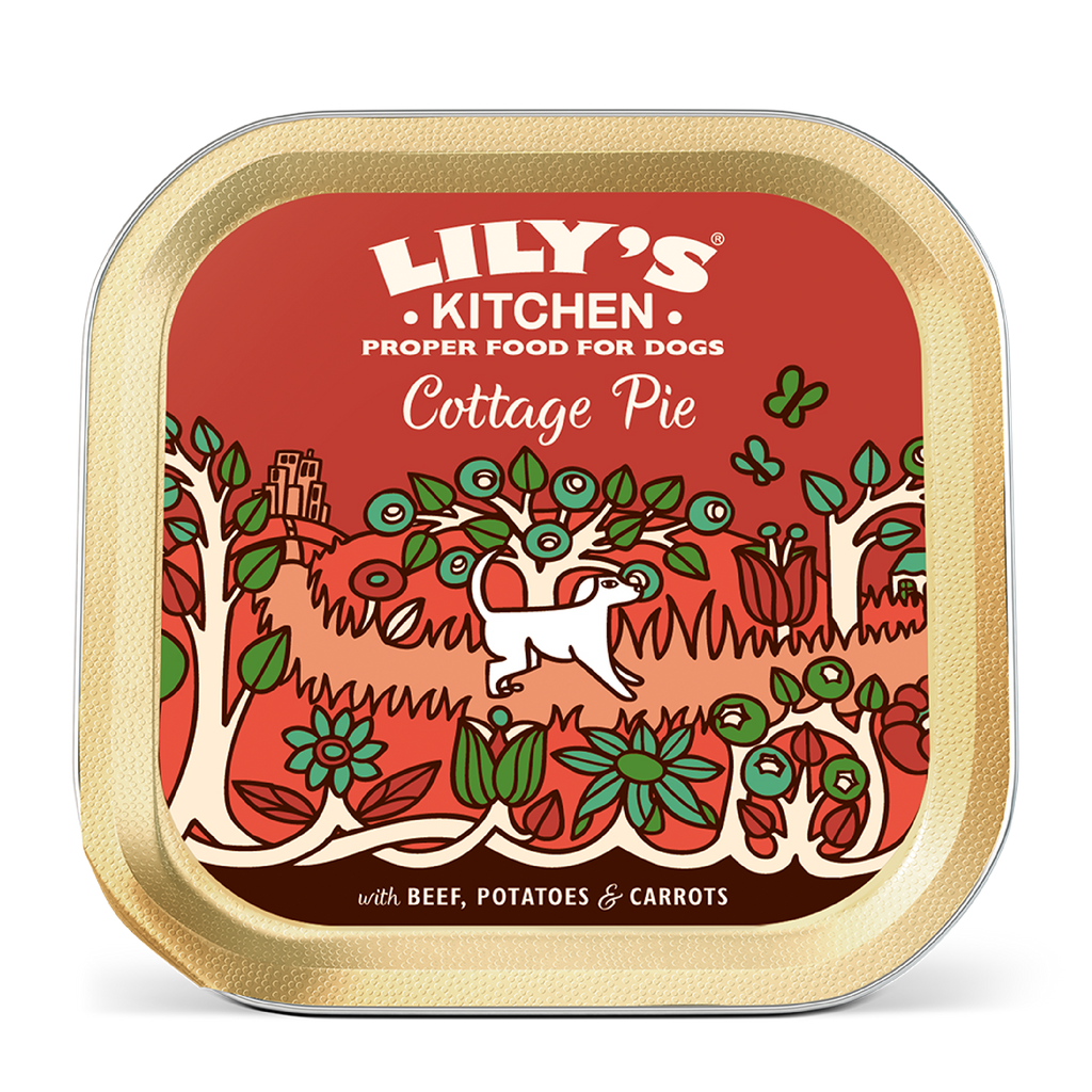 Cottage Pie