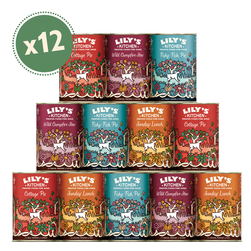 Grain Free Recipes Multipack (12 x 400g)