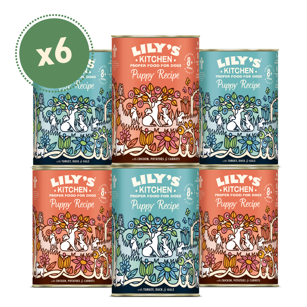 Puppy Recipes Multipack (6 x 400g)
