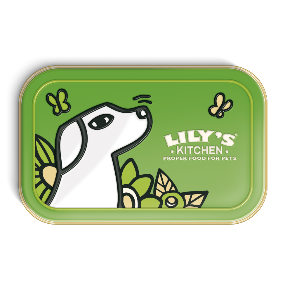 Lily's Kitchen Pocket Tin for Dog Treats