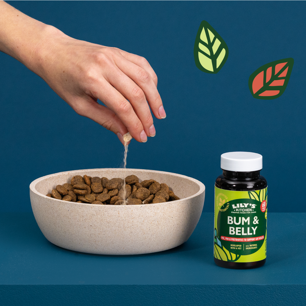 Bum & Belly Supplements for Dogs (60 capsules)
