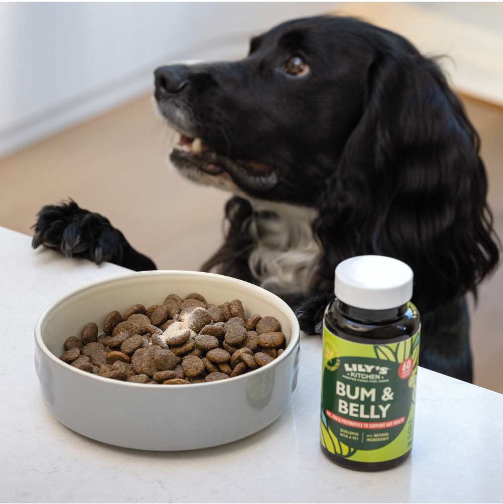 Bum & Belly Supplements for Dogs (60 capsules)